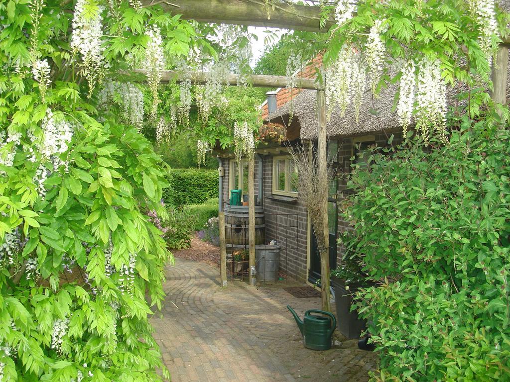 Roing B&B Hijken 外观 照片
