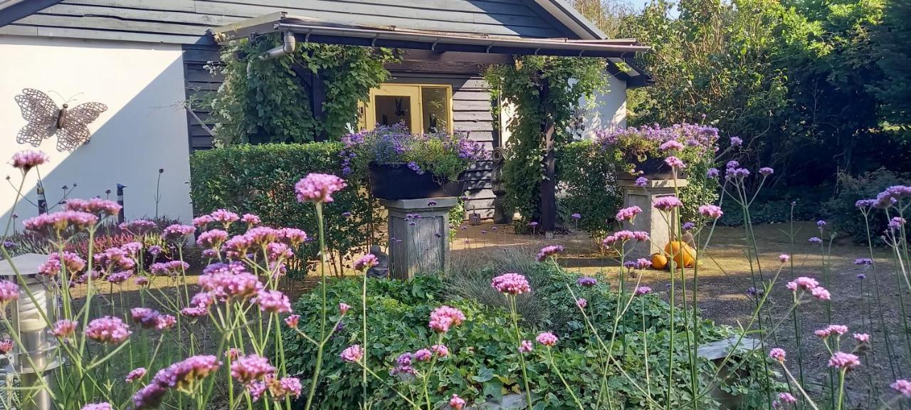 Roing B&B Hijken 外观 照片