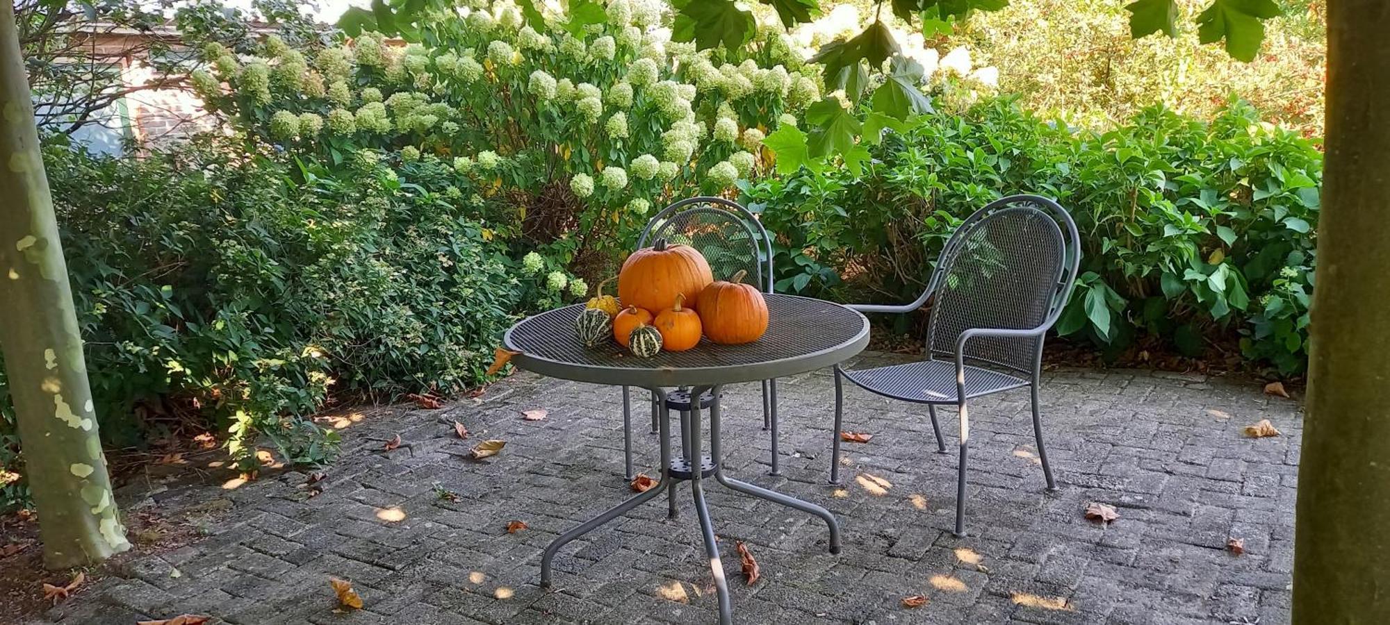 Roing B&B Hijken 外观 照片
